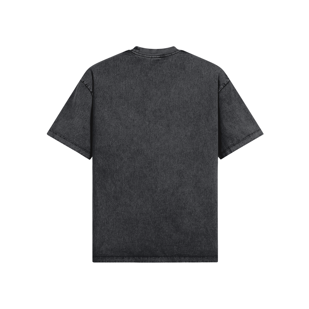 SVRN LA Washed Panther T-Shirt